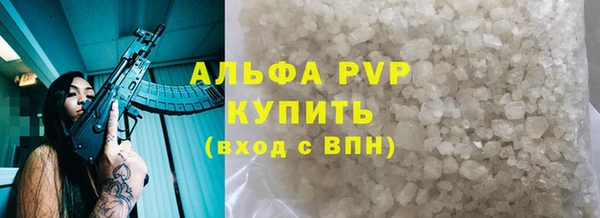 СК Абинск